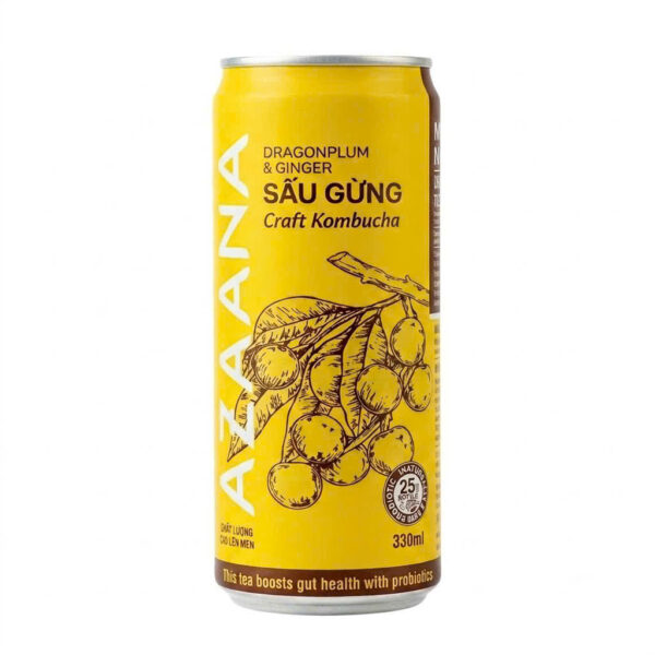 AZAANA Dragonplum & Ginger Kombucha 330ml bottle